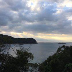 地磯から肝ぱんカワハギとイシダイ